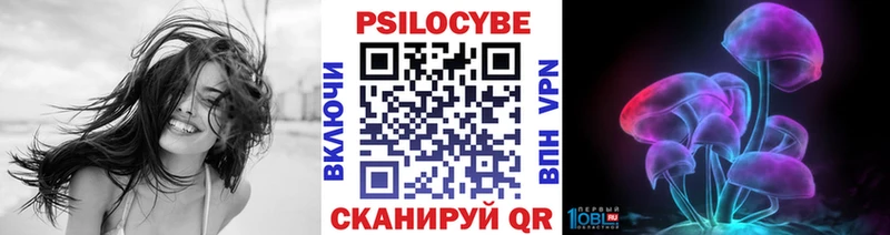 Псилоцибиновые грибы Psilocybine cubensis  omg как зайти  Струнино  купить  сайты 